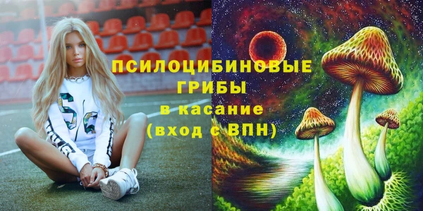 не бодяженный Богданович